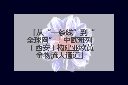 从“一条线”到“全球网”：中欧班列（西安）构建亚欧黄金物流大通道