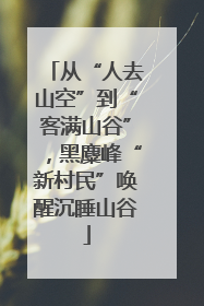 从“人去山空”到“客满山谷”，黑麋峰“新村民”唤醒沉睡山谷