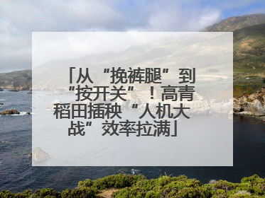 从“挽裤腿”到“按开关”！高青稻田插秧“人机大战”效率拉满