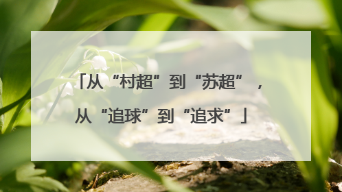 从“村超”到“苏超”，从“追球”到“追求”