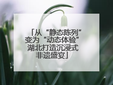 从“静态陈列”变为“动态体验” 湖北打造沉浸式非遗盛宴