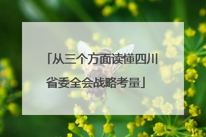从三个方面读懂四川省委全会战略考量