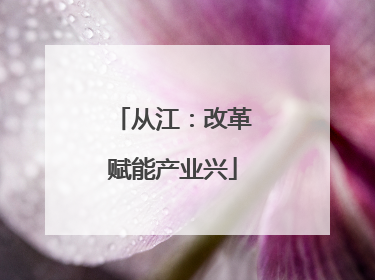 从江：改革赋能产业兴