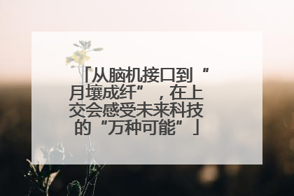 从脑机接口到“月壤成纤”，在上交会感受未来科技的“万种可能”