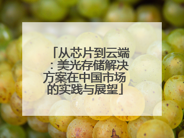从芯片到云端：美光存储解决方案在中国市场的实践与展望