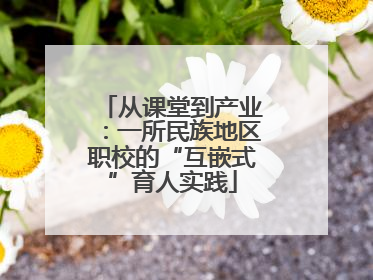 从课堂到产业：一所民族地区职校的“互嵌式”育人实践