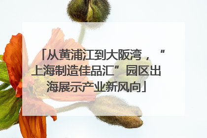 从黄浦江到大阪湾，“上海制造佳品汇”园区出海展示产业新风向