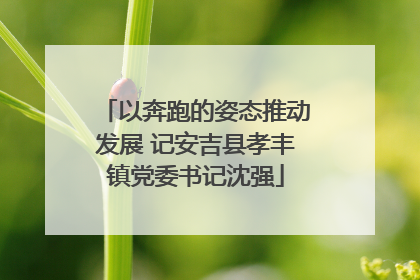 以奔跑的姿态推动发展 记安吉县孝丰镇党委书记沈强