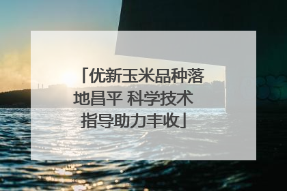 优新玉米品种落地昌平 科学技术指导助力丰收