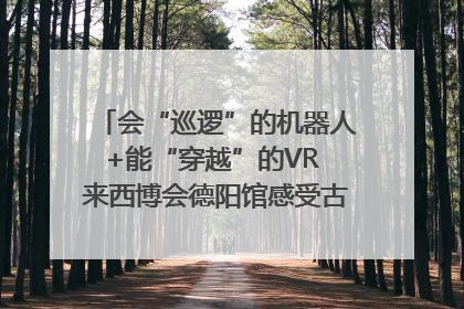 会“巡逻”的机器人+能“穿越”的VR 来西博会德阳馆感受古蜀文明与现代智造的时空对话｜西博视界
