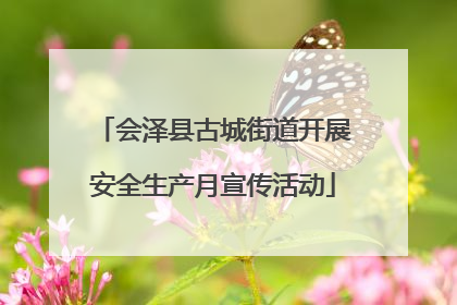 会泽县古城街道开展安全生产月宣传活动