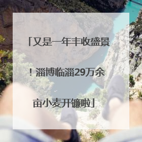 又是一年丰收盛景！淄博临淄29万余亩小麦开镰啦