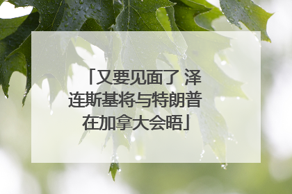 又要见面了 泽连斯基将与特朗普在加拿大会晤