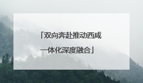 双向奔赴推动西咸一体化深度融合