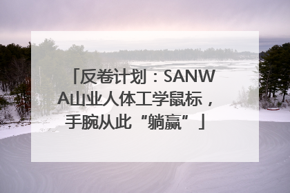 反卷计划：SANWA山业人体工学鼠标，手腕从此“躺赢”