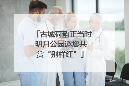 古城荷韵正当时 明月公园邀您共赏“别样红”