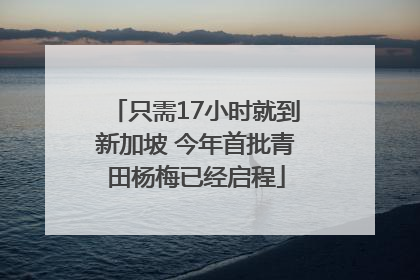 只需17小时就到新加坡 今年首批青田杨梅已经启程