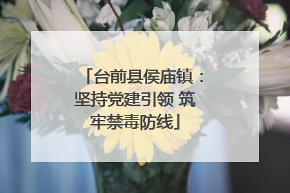台前县侯庙镇：坚持党建引领 筑牢禁毒防线
