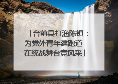 台前县打渔陈镇：为党外青年建跑道 在统战舞台竞风采