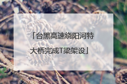 台黑高速绕阳河特大桥完成T梁架设