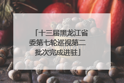 十三届黑龙江省委第七轮巡视第二批次完成进驻
