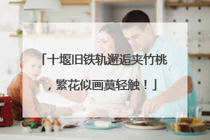 十堰旧铁轨邂逅夹竹桃，繁花似画莫轻触！