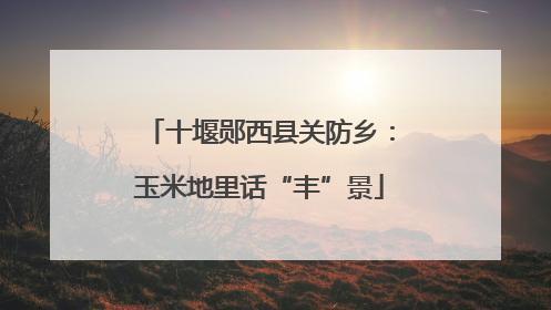 十堰郧西县关防乡：玉米地里话“丰”景