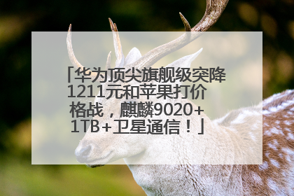 华为顶尖旗舰级突降1211元和苹果打价格战，麒麟9020+1TB+卫星通信！