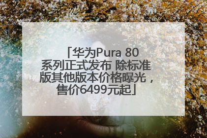 华为Pura 80系列正式发布 除标准版其他版本价格曝光，售价6499元起