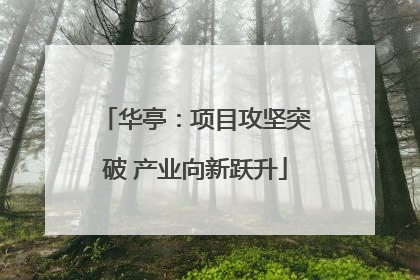 华亭：项目攻坚突破 产业向新跃升
