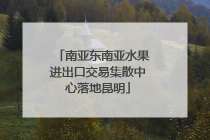 南亚东南亚水果进出口交易集散中心落地昆明