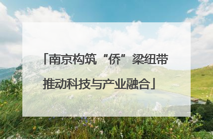 南京构筑“侨”梁纽带推动科技与产业融合