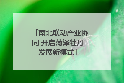 南北联动产业协同 开启菏泽牡丹发展新模式