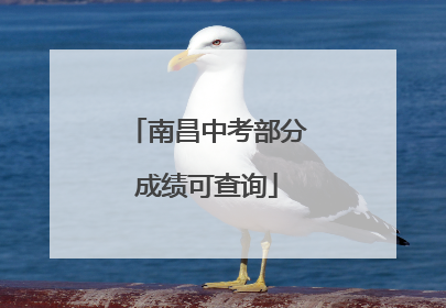 南昌中考部分成绩可查询