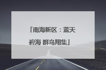 南海新区：蓝天碧海 群鸟翔集