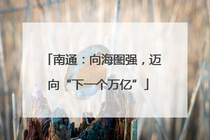 南通：向海图强，迈向“下一个万亿”