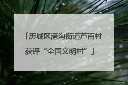 历城区港沟街道芦南村获评“全国文明村”