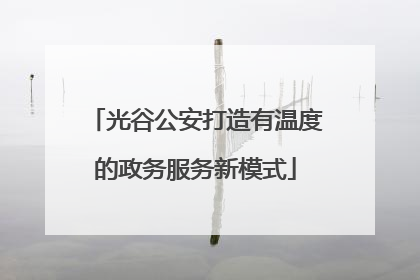 光谷公安打造有温度的政务服务新模式