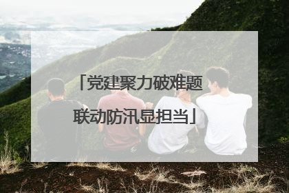 党建聚力破难题 联动防汛显担当