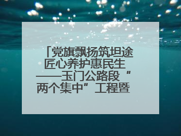 党旗飘扬筑坦途 匠心养护惠民生——玉门公路段“两个集中”工程暨示范桥创建项目圆满收官