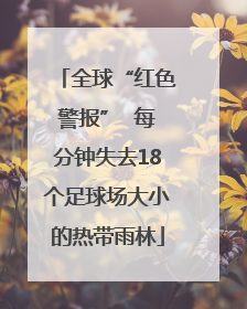 全球“红色警报”  每分钟失去18个足球场大小的热带雨林