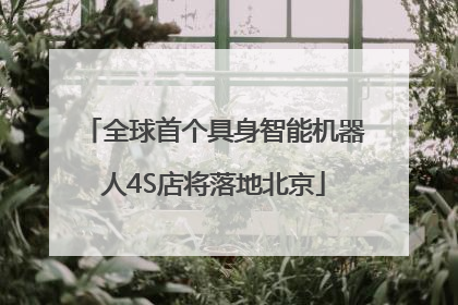 全球首个具身智能机器人4S店将落地北京