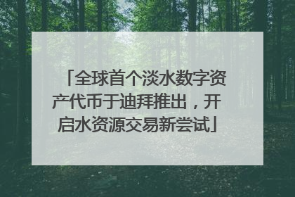 全球首个淡水数字资产代币于迪拜推出，开启水资源交易新尝试