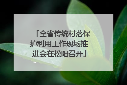 全省传统村落保护利用工作现场推进会在松阳召开