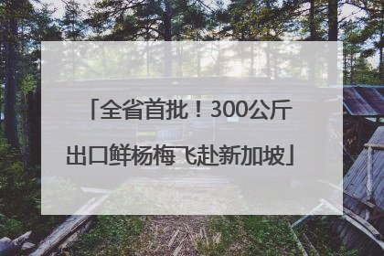 全省首批！300公斤出口鲜杨梅飞赴新加坡