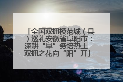 全国双拥模范城（县）巡礼安徽省阜阳市：深耕“阜”务培热土 双拥之花向“阳”开