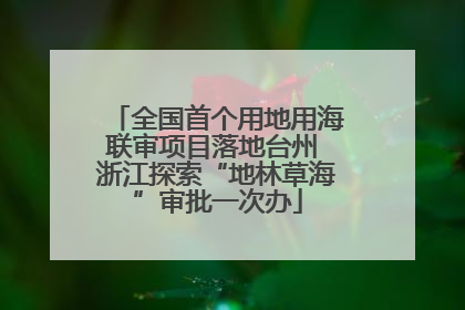 全国首个用地用海联审项目落地台州 浙江探索“地林草海”审批一次办