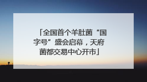 全国首个羊肚菌“国字号”盛会启幕，天府菌都交易中心开市