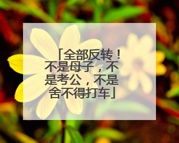 全部反转！不是母子，不是考公，不是舍不得打车
