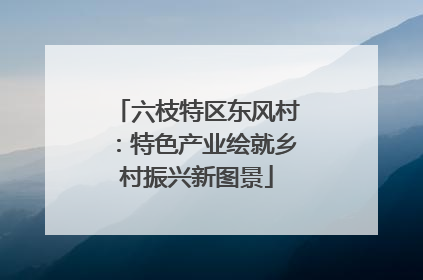 六枝特区东风村：特色产业绘就乡村振兴新图景